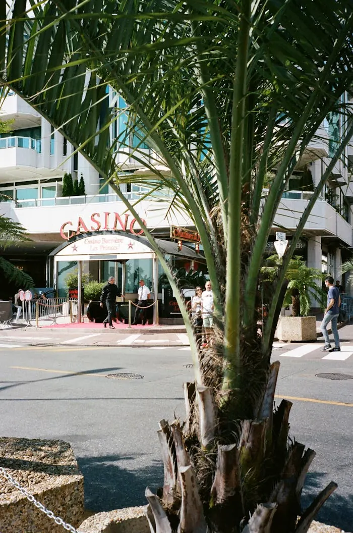 Palm-lined street leading towards a casino entrance